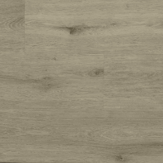 Picture of Durato - V-Evo Max Baymont