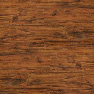 Picture of Durato - V-Evo Max Blenheim