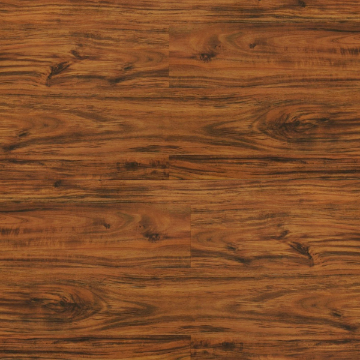 Picture of Durato - V-Evo Max Blenheim