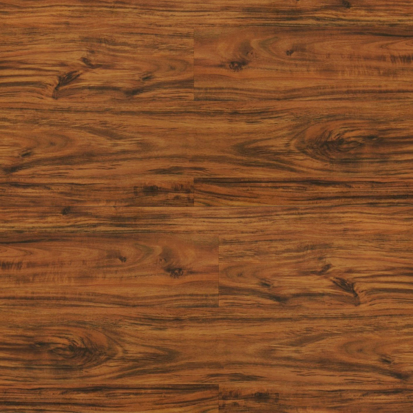 Picture of Durato - V-Evo Max Blenheim