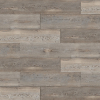 Picture of Durato - V-Evo XL Oyster