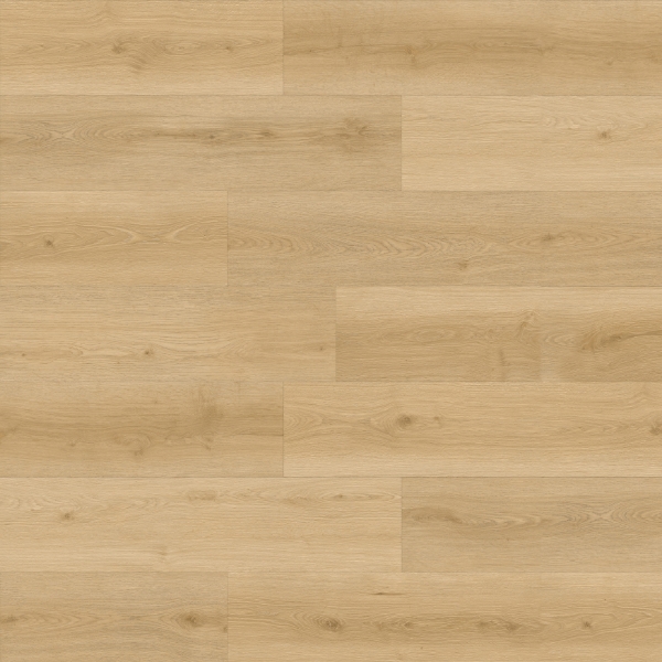 Picture of Durato - V-Evo XL Caramel