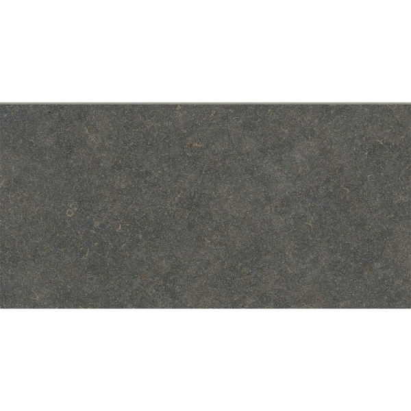 Picture of Bedrosians - Oda 24 x 48 Classic