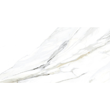 Picture of Glazzio - Emporio 24 x 48 Calacatta