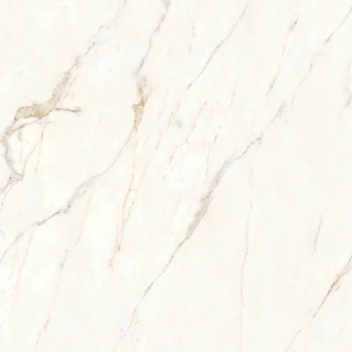 Picture of Bedrosians - Magnifica Nineteen Forty-Eight Calacatta Oro Honed