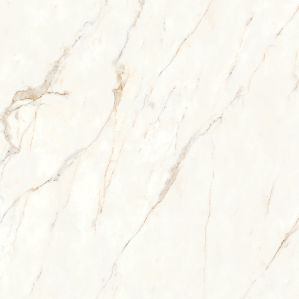 Picture of Bedrosians - Magnifica Nineteen Forty-Eight Calacatta Oro Honed