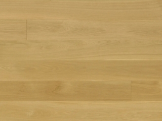 Picture of Monarch Plank - Regent Eleanor