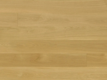 Picture of Monarch Plank - Regent Eleanor