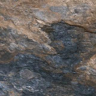 Picture of Glazzio - Gentle Dwelling Algonquin Prime