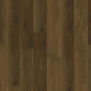 Picture of EarthWerks - Chassis Spitfire