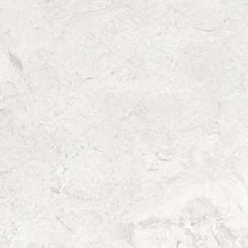 Picture of Glazzio - Harmonic 12 x 24 Matte Forte DCOF