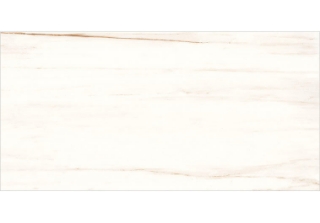 Picture of Glazzio - Harmonic 12 x 24 Matte Ostinato DCOF