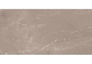 Picture of Glazzio - Harmonic 12 x 24 Matte Mezzo DCOF