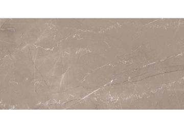 Picture of Glazzio - Harmonic 12 x 24 Matte Mezzo DCOF