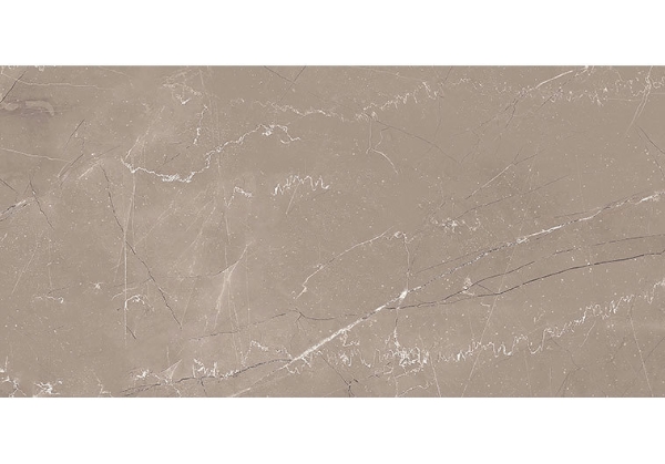 Picture of Glazzio - Harmonic 12 x 24 Matte Mezzo DCOF