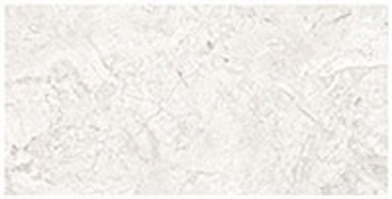 Picture of Glazzio - Harmonic 12 x 24 Polished Timbre