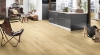 Picture of Urban Floor - The Blvd Kronospan Cookie Meadow Oak