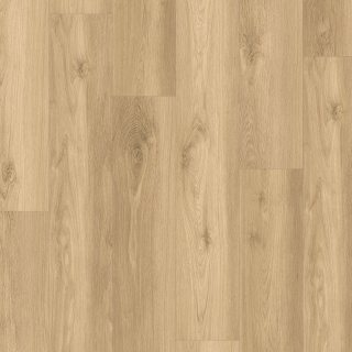 Picture of Southwind - Sweet Home Ashland