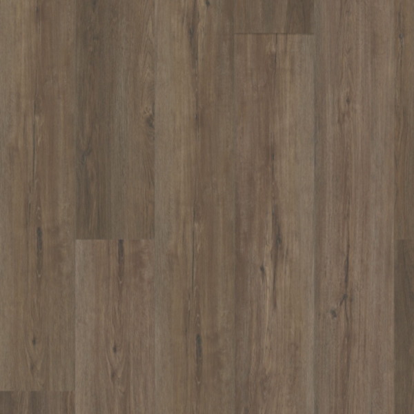 Picture of Bella Flooring Group - Largo Woodland