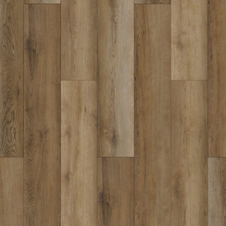 Picture of Southwind - Rigid Plus Moonshine