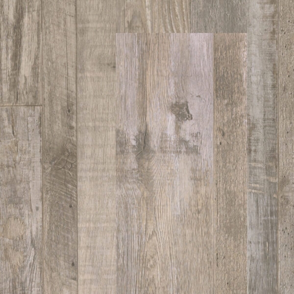 Picture of Southwind - Rigid Plus Withered