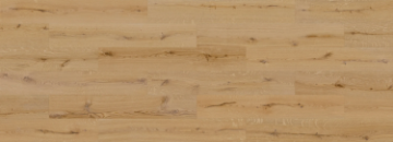 Picture of Barlinek - Next Step Standard Hazel Oak