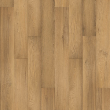 Picture of Mohawk - SolidTech Select Augusta Acres Ellie