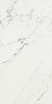 Picture of Caesar Ceramic - Anima 12 x 24 Statuario Venato