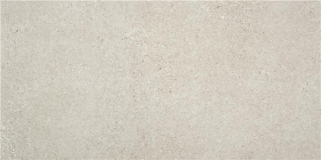 Picture of STN Ceramica - Homestone 24 x 48 Argent