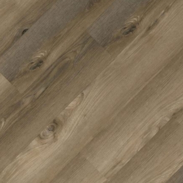 Picture of Ribadao - Caravel Nina