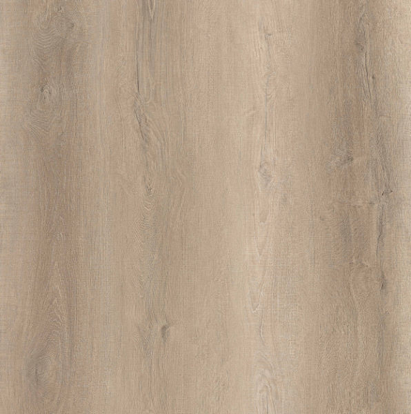 Picture of Ribadao - Caravel Victoria