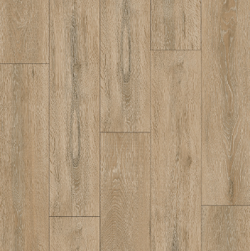 Picture of Ribadao - Caravel Santa Maria