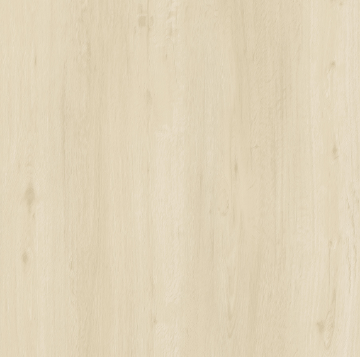 Picture of Ribadao - Caravel Saint Thomas