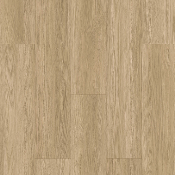 Picture of Ribadao - Caravel Calicut