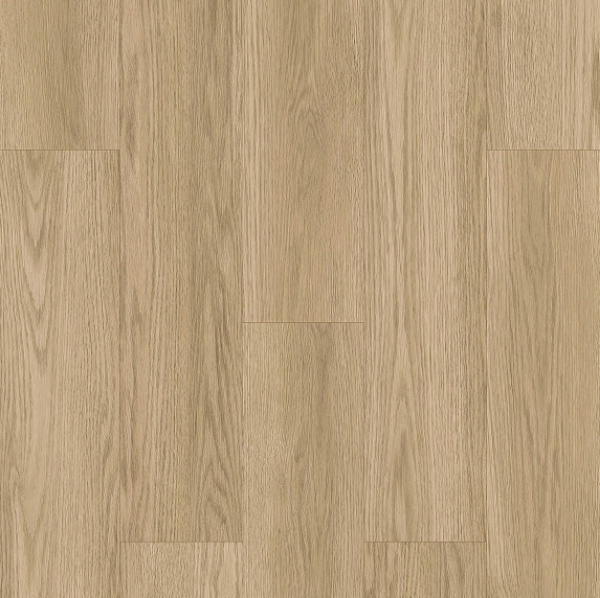 Picture of Ribadao - Caravel Calicut