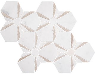 Picture of Glazzio - Nectura Votage