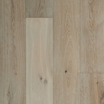 Picture of Veranda - Charleston Magnolia