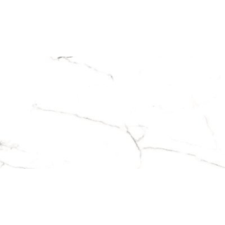 Picture of Glazzio - Renaissance 12 x 24 Matte Calacatta