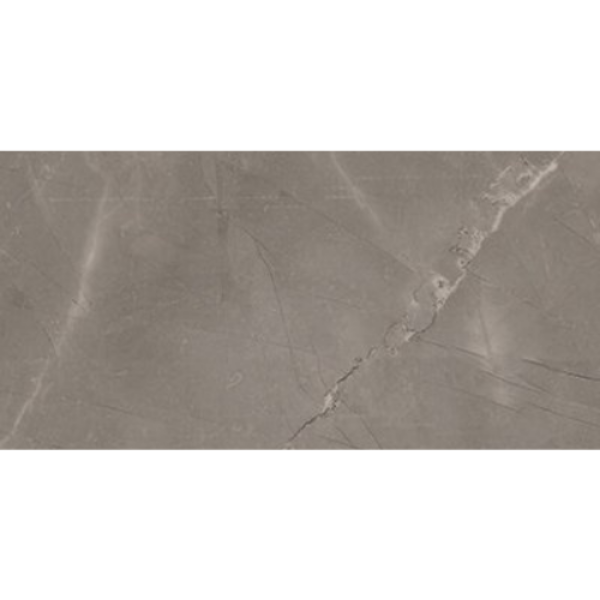 Picture of Glazzio - Renaissance 12 x 24 Matte Amani Grey