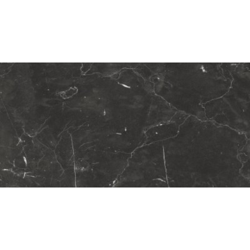 Picture of Glazzio - Renaissance 12 x 24 Matte Nero Marquina