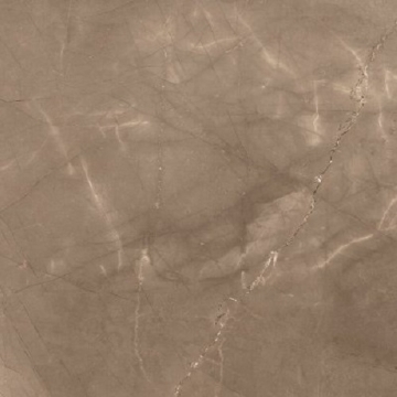 Picture of Glazzio - Renaissance 24 x 24 Polished Amani Bronze