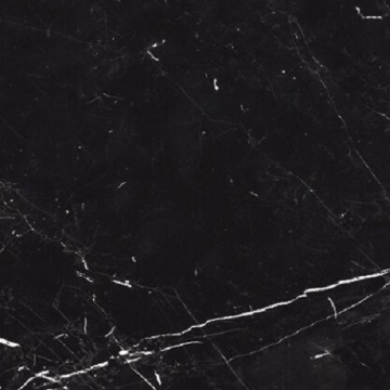 Picture of Glazzio - Renaissance 24 x 24 Polished Nero Marquina