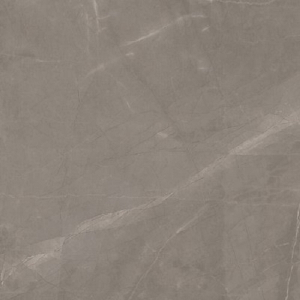 Picture of Glazzio - Renaissance 24 x 24 Polished Amani Grey