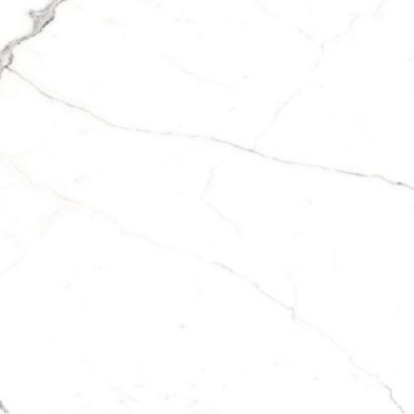 Picture of Glazzio - Renaissance 24 x 24 Matte Calacatta