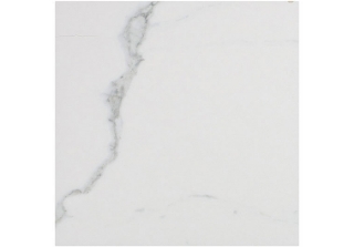 Picture of Glazzio - Renaissance 12 x 12 Matte Calacatta