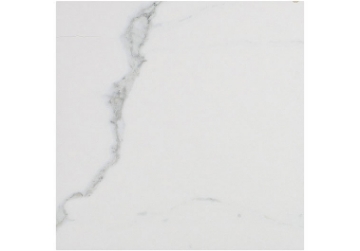 Picture of Glazzio - Renaissance 12 x 12 Matte Calacatta