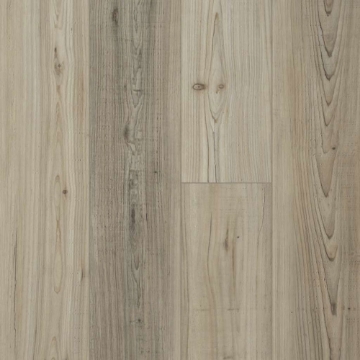 Picture of Shaw Floors - Distinction Plus Light Pine
