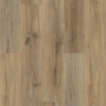 Picture of Shaw Floors - Endura Plus Wild Dunes