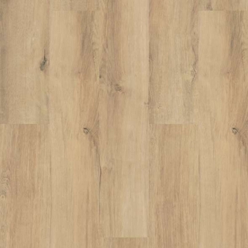 Picture of Shaw Floors - Endura Plus Marina