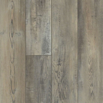 Picture of Shaw Floors - Pantheon HD Plus Tempesta